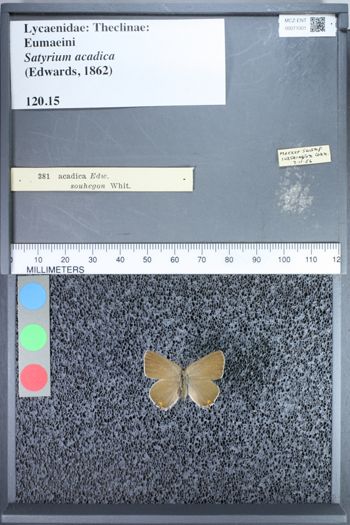 Media type: image;   Entomology 71001